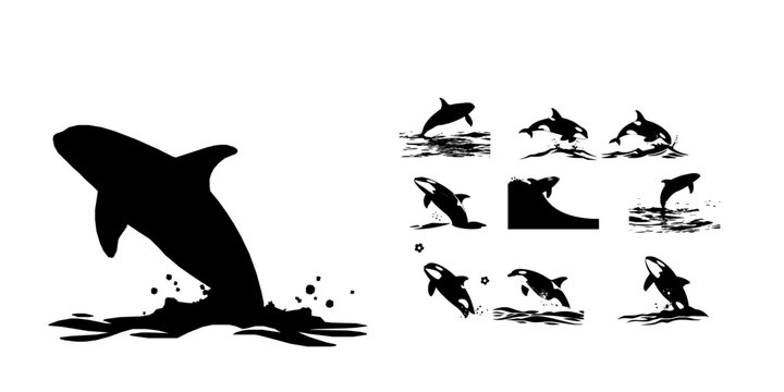 Orca Breaching the Ocean Surface Silhouette