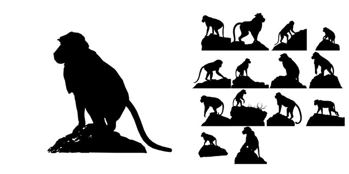 Baboon Silhouette Icon