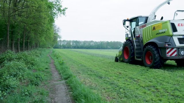 Forage harvester cutting grass and loading it into a trailer