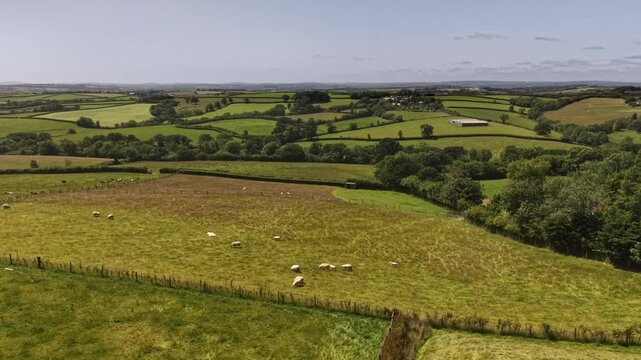 Rolling hills with sheep and cattle  farmland in the West Country