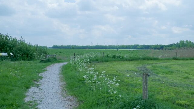 Walking along a narrow path through a green dutch polder landscape