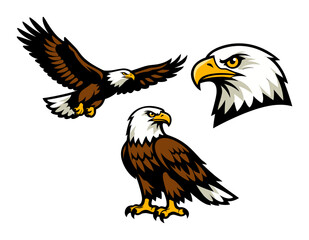 Fototapeta premium Bald eagle collection featuring a flying bird, a perch view, and a head profile, ideal for team logos and emblems