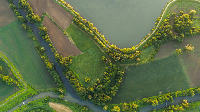 Top down aerial view of the Ilownica river confluence into Vistula river surrounded by green fields and meadows at sunset, Silesia, Poland