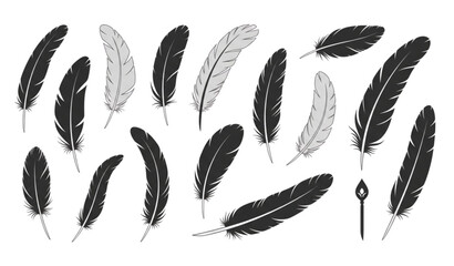 Bird feather and quill silhouette vector collection © Prodip