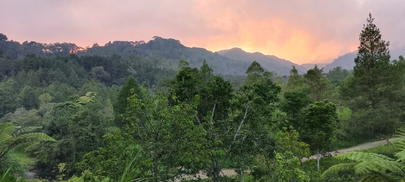 Tropical Mountain Forest Landscape at Sunset