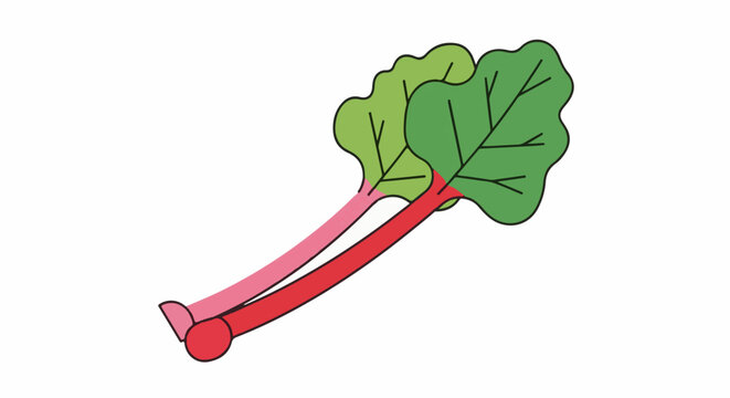 A simple illustration of red and pink rhubarb stalks with large green leaves