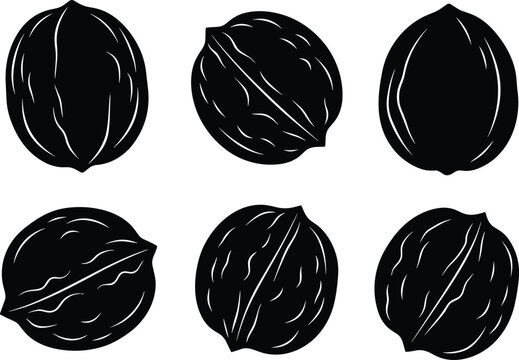Whole walnut shell solid silhouette vector illustration set with linocut style texture for organic grocery snack food product design.