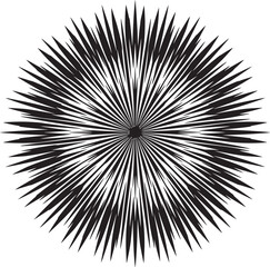 Obraz premium Abstract circular firework burst with many sharp rays and explosive lines.