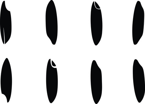 Rice grain silhouette vector illustration set with various raw seed shapes for agricultural farming organic food packaging graphic design
