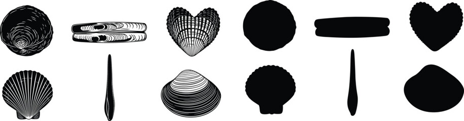 Seashell vector illustration set with scallop clam and razor shell black silhouettes for beach ocean marine life graphic design elements © Olivia