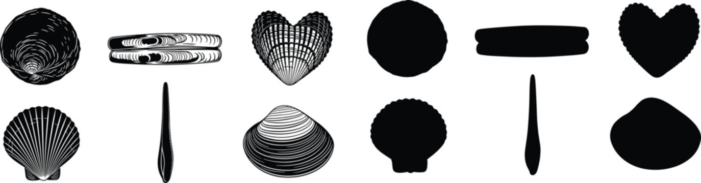 Seashell vector illustration set with scallop clam and razor shell black silhouettes for beach ocean marine life graphic design elements