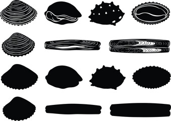Seashell vector illustration set featuring various clam oyster and razor shell shapes with black silhouettes for ocean marine life graphic design © Olivia
