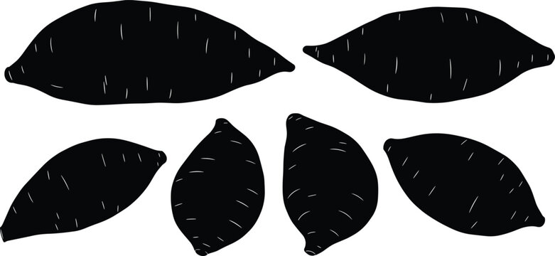 Sweet potato silhouette vector illustration set with six detailed organic root vegetables for healthy diet cooking recipe and grocery market graphic design.