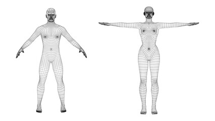 Wireframe Human Figures - Two wireframe human figures, one with arms extended and the other standing upright against a plain white background © K_Sarwar
