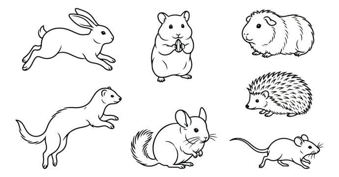 Small pet animal line art icons, 7 vector outline illustrations of rabbit, hamster and ferret