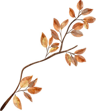 watercolor autumn twig with leaves