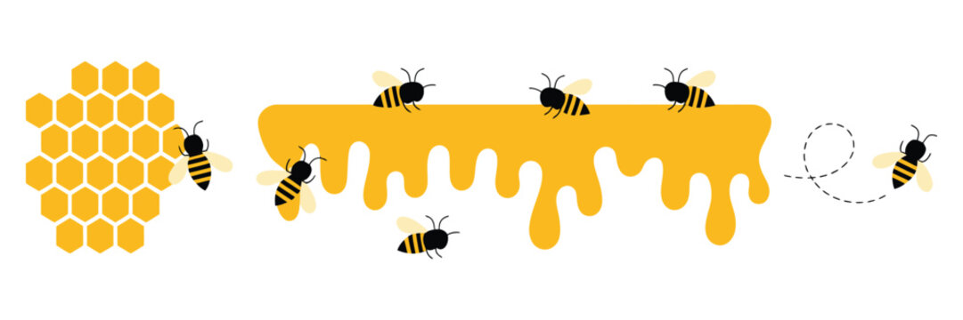 bee and honeycomb icon set, flying bee with flight route, honeybee animal in flat style, flowing honey and bumblebee elements, natural food and beekeeping concept, clean vector illustration.