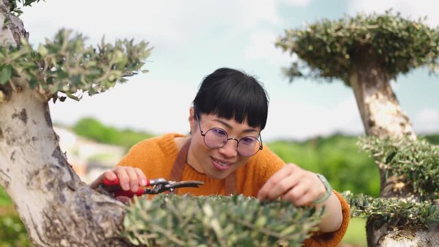 Working on a bonsai tree in the garden