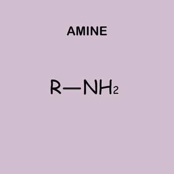 Pastel organic chemistry infographic featuring the amine functional group structure. Educational science poster for students, classrooms, chemistry learning, and academic resources.