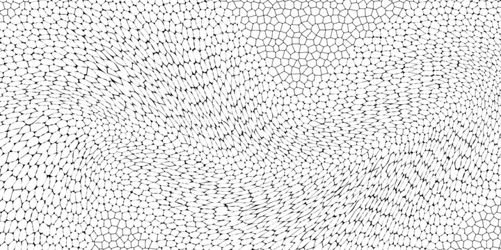 Seamless pattern skin snake, crocodile, lizard, alligator, reptile. Reptilian scales. Monochrome black spots. Vector isolated on white. Serpentine texture. Fashion print.