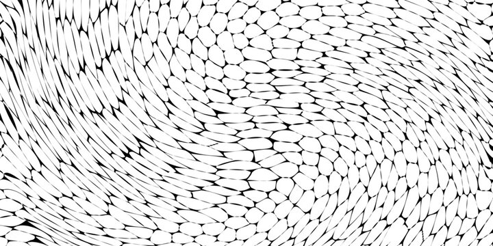 Seamless pattern skin snake, crocodile, lizard, alligator, reptile. Reptilian scales. Monochrome black spots. Vector isolated on white. Serpentine texture. Fashion print.