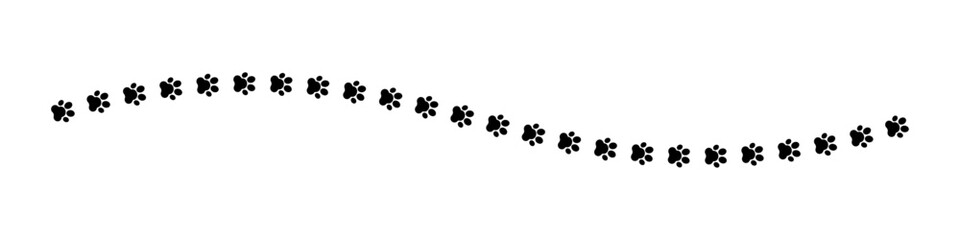 Black paw print trail of a dog cat or wild animal on white © Hasan_Sumon
