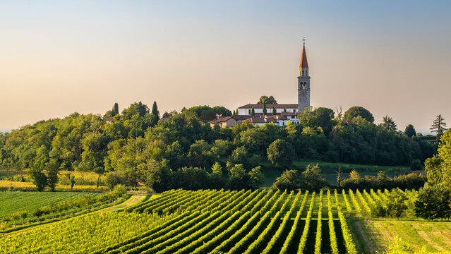 Italian hill village and vineyards at sunrise. Santa Margherita del Gruagno (Moruzzo), Udine province, Friuli Venezia Giulia region, Italy.