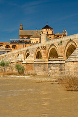 Naklejka premium Spain. Cordoba. Roman bridge. Mezquita and Alcazar 