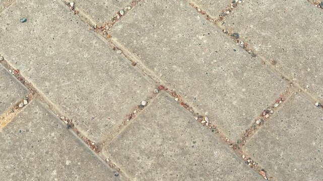 Worn paving stones top view close-up showing weathered concrete pavers with eroded joints, sand filled grooves, subtle gray tones