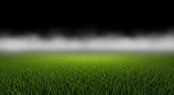 Lush green grass field with dark misty background football environment lighting dramatic landscape
