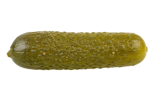 A single, perfectly preserved dill pickle with a bumpy texture and bright green color