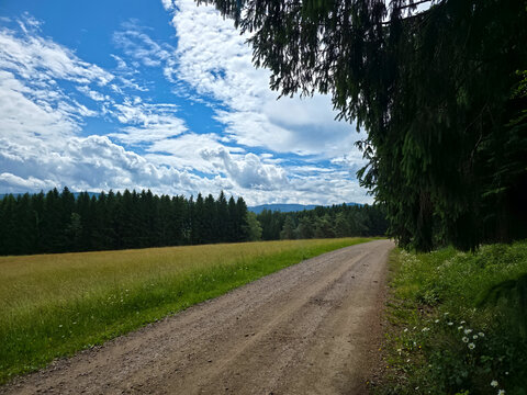 germany, extended hiking trail along forest edge and pastures revealing timeless black forest beauty