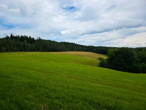 germany, enchanting meadow and forest composition displaying extraordinary black forest greenery and peaceful atmosphere