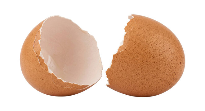Two perfectly separated halves of a brown eggshell on a white background