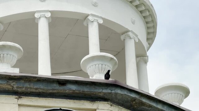 A lonely black bird sits on the ledge of a white classical rotunda. This historic building stands quietly under a cloudy sky, creating a deep feeling of peaceful solitude and nostalgia.
