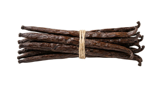 A bundle of whole, dark brown vanilla beans tied together with natural twine