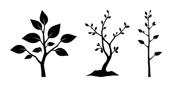 Solid black icon, white background: reforestation tree sapling set with simple line art design featuring line art, illustrations, graphic resources with vector and design elements