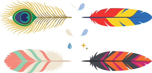 Colorful bird feathers vector illustration set featuring a realistic peacock feather bright parrot plume boho pastel quill and striped native ethnic wing elements. © MdShakib