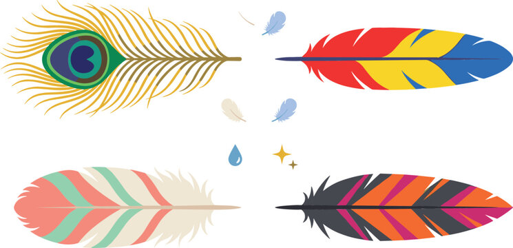 Colorful bird feathers vector illustration set featuring a realistic peacock feather bright parrot plume boho pastel quill and striped native ethnic wing elements.