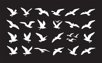 Fototapeta premium A collection of minimalist white seagull silhouettes captured in various flying poses against a solid black background.