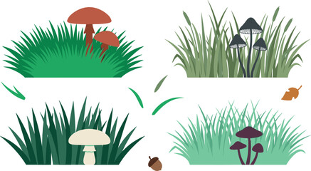 Green grass tufts and wild forest mushrooms vector illustration set featuring autumn lawn borders toadstools acorn and fallen leaf isolated on white background. © MdShakib