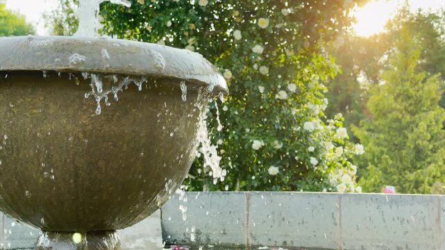 A classic stone fountain overflows with fresh water against a blooming rose bush. The warm sunrise creates a hopeful and joyful energy. This close scene feels refreshing and serene.
