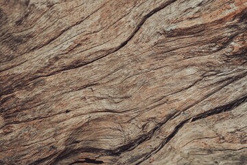 Weathered brown wood log texture with deep natural cracks. © Liada