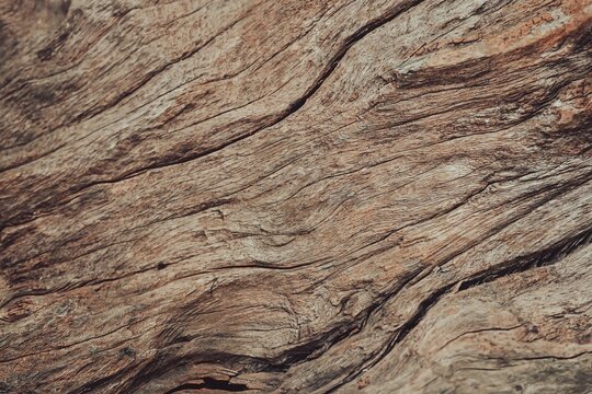 Weathered brown wood log texture with deep natural cracks.