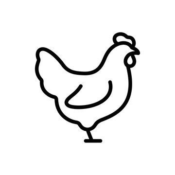 Simple line art icon of a chicken, minimalist poultry symbol, farm animal vector