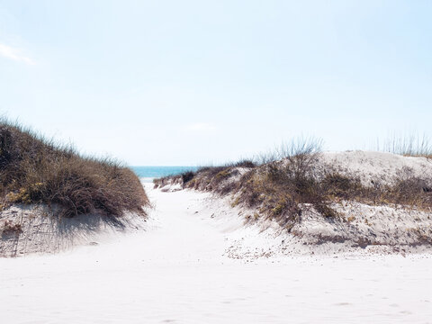 Sand Dune Path to Blue Ocean