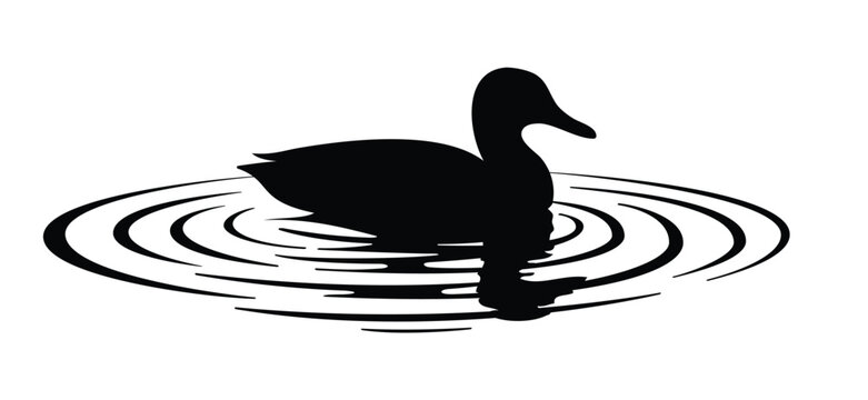 A stylized black duck floating peacefully, surrounded by soft, oval ripples in the water. A duck is a waterbird with a flat beak and broad webbed feet. Waterbirds, wild duck swims in the water,