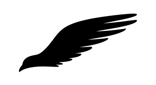 Abstract black stylized bird wing element with a sharp leading edge an