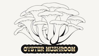 Fototapeta premium Very beautiful OYSTER MUSHROOM cluster with soft cream-colored caps, organic textures, and a decorative label reading 