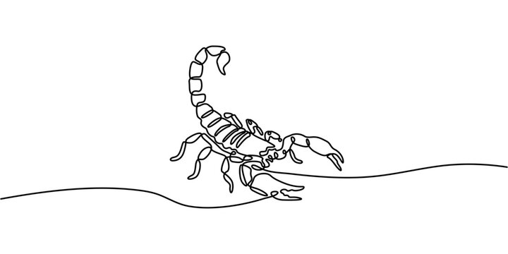 Continuous line art of a scorpion with raised stinging tail